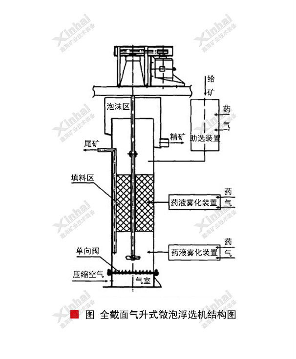 全截面氣升式微泡浮選機